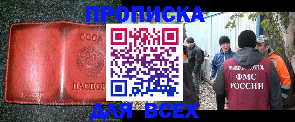 временная регистрация поиск в Ельне